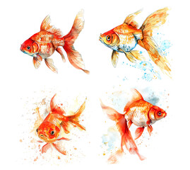 Fototapeta premium Four vibrant goldfish depicted in watercolor, each with unique swimming poses and patterns. Fish. Pet.