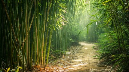 A peaceful path winding through a dense bamboo forest, bathed in soft sunlight filtering through the tall green bamboo stalks. Vertical format photo.
Concept: tranquility, nature, forest adventure, se