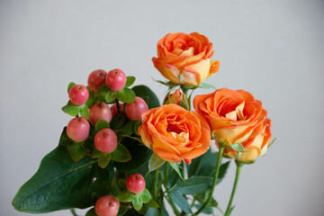 　ベイブとヒペリカム