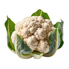 Cauliflower, isolated on white