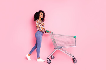 Full length photo of shiny attractive lady dressed print shirt walking shopping cart empty space...