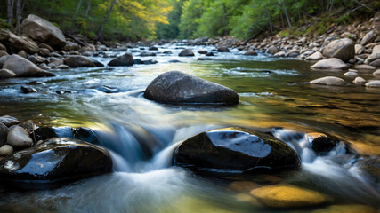 Smooth river stone in a rushing mountain stream