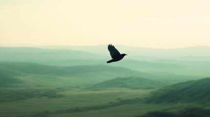 Bird Soaring Over Misty Green Hills