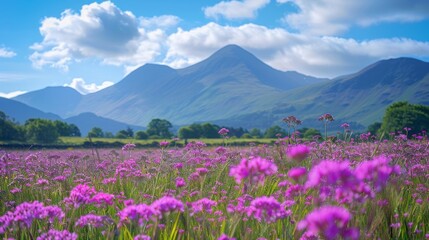 Obraz premium Beautiful pink flowers in a green valley beneath majestic mountains and a bright blue sky with fluffy clouds
