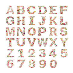Floral alphabet on white, transparent background. Painted alphabet.