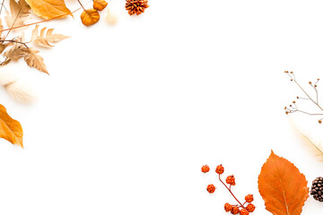 A white background with a yellow border and a variety of autumn leaves
