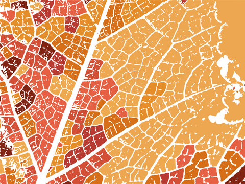 autumn leave imprint vector background  