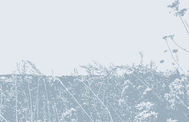 field herbs and flowers, landscape  vector  background