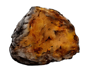 Chaga Mushroom illustration isolated on transparent background. Hand drawn medicinal fungi 