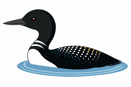 recommend clip art: Arctic Loon bird swimming icon vector illustration.