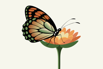 butterfly isolated on vector illustration in white background