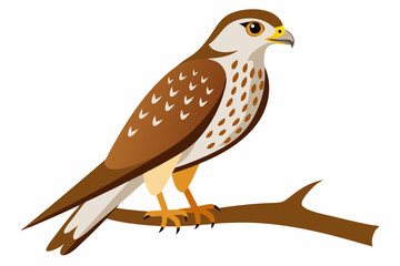 eagle on a branch vector illustration 