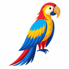 blue and yellow macaw
