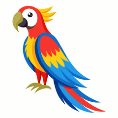 blue and yellow macaw