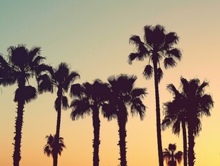 Serene Sunset Scene with Palm Trees