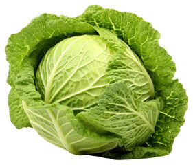 PNG Green cabbage vegetable plant green.