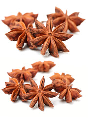 star anise on white background 