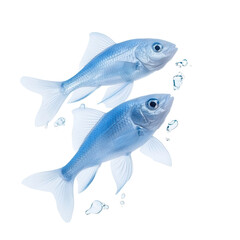 Naklejka premium Two vibrant blue fish swimming gracefully, showcasing their beauty and elegance in an aquatic setting.