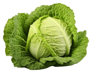 PNG Green cabbage vegetable green plant.