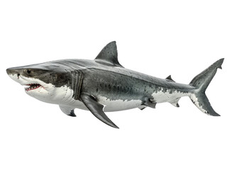 Fototapeta premium Realistic shark image on transparent background. Ai generated.