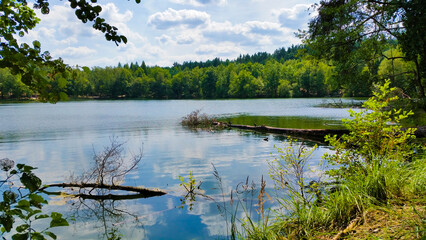 Seenlandschaft im Sommer Land Brandenburg