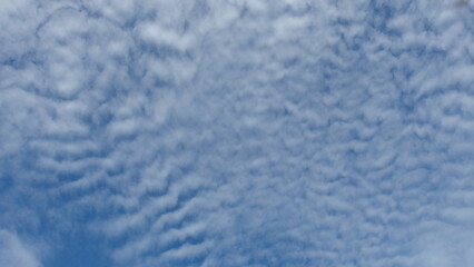 Obraz premium a sky filled with a pattern of clouds. These clouds appear to be altocumulus, which are characterized by their fluffy, white appearance and are often seen in a patchy or wave-like pattern