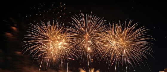 Obraz premium Golden Fireworks Display in the Night Sky