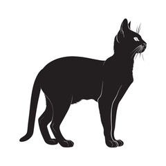 Obraz premium Russian Blue cat silhouette Clipart - Cat Vector illustration in black and white 