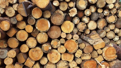 a stack of cut logs. The logs are arranged with their circular ends facing outward, displaying a variety of sizes and shades of brown. The texture of the wood and the growth rings