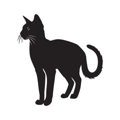Singapura cat silhouette Clipart - Cat Vector illustration in black and white
