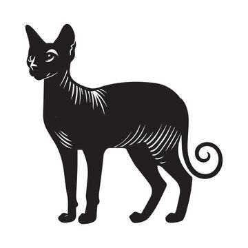 recommend clip art: Sphynx cat silhouette Clipart - Cat Vector illustration in black and white
                    