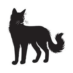 Fototapeta premium Somali cat silhouette Clipart - Cat Vector illustration in black and white 