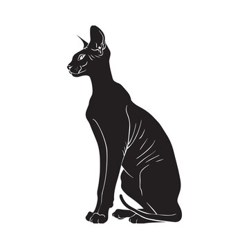 recommend clip art: Sphynx cat silhouette Clipart - Cat Vector illustration in black and white
                    