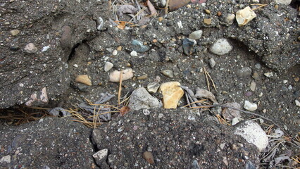  a close-up view of a rough, rocky surface. The ground is composed of dark soil mixed with various small stones and pebbles of different colors, including shades of gray, white, and yellowish-brown