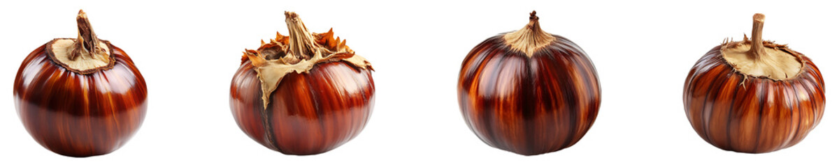 Set, collection of Chestnut isolated on transparent background.