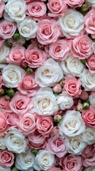 Obraz premium Spring floral design with pink and white roses for romantic occasions