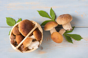 Mushroom boletus in basket on a blue wooden table. Harvesting fresh cep. Food, design, autumn. Nature concept. Flat lay, top view