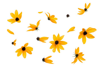 Floral pattern featuring vibrant yellow lilies, perfect for spring or summer decoration