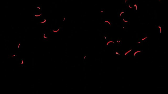 Animated raining red chilies on a black background and hundreds of chilies