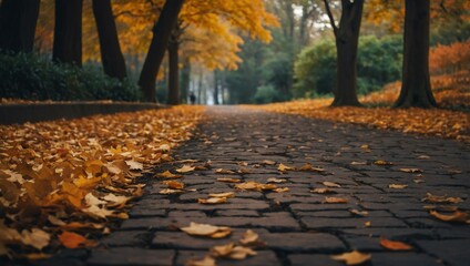 A leaf-strewn path in autumn, offering a serene setting with ample space for text or design.