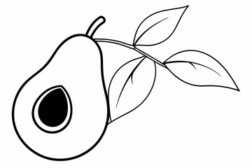 illustration of an olive