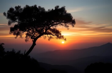 Fototapeta premium Atmospheric landscape.. Silhouette of a Tree at Sunset Over Mountains. 