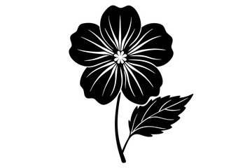 black and white flower isolated