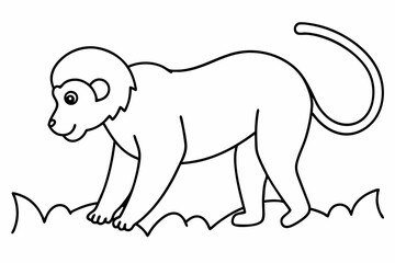 illustration of a cartoon monkey