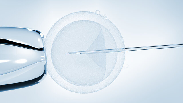 In vitro fertilization. Insemination. ICSI. 3d illustration.