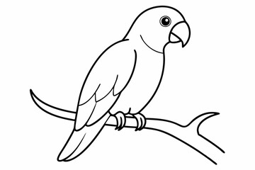 illustration of a parrot