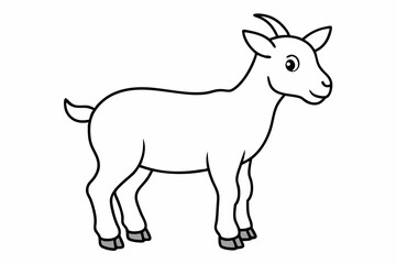 goat on white