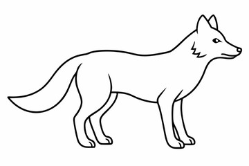 vector illustration of wolf