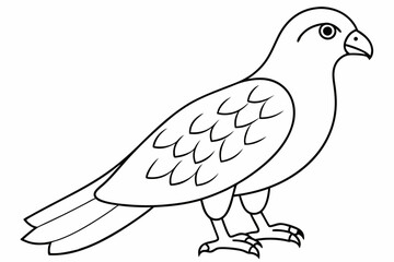 illustration of a bird