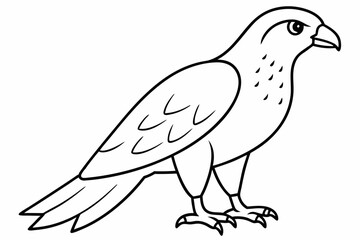 dove on a branch